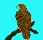 Dibujo Águila en una rama pintado por agustina