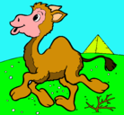 Dibujo Camello pintado por phaula