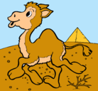 Dibujo Camello pintado por AinaiIlenia