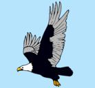 Dibujo Águila volando pintado por yese