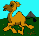 Dibujo Camello pintado por alejo