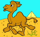 Dibujo Camello pintado por juancarios