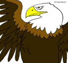 Dibujo Águila Imperial Romana pintado por alejandra