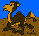 Dibujo Camello pintado por bracdut