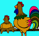 Dibujo Gallo y gallina pintado por marcopaolo