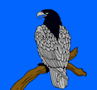 Dibujo Águila en una rama pintado por RUBEN