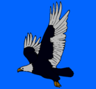 Dibujo Águila volando pintado por RUBEN