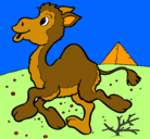 Dibujo Camello pintado por laura