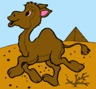 Dibujo Camello pintado por bryanvallejo