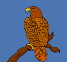 Dibujo Águila en una rama pintado por snupy