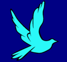 Dibujo Paloma de la paz al vuelo pintado por jimena