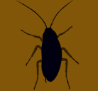 Dibujo Cucaracha grande pintado por tomas