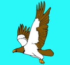 Dibujo Águila volando pintado por agustina