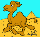 Dibujo Camello pintado por susiarcila