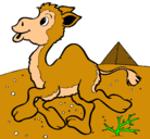 Dibujo Camello pintado por jabdiel