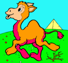 Dibujo Camello pintado por katherin.