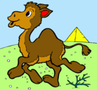 Dibujo Camello pintado por maite