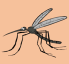 Dibujo Mosquito pintado por dario