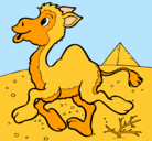 Dibujo Camello pintado por stefannia