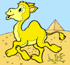Dibujo Camello pintado por vale