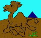 Dibujo Camello pintado por DeMauricio