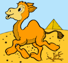 Dibujo Camello pintado por luis
