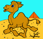 Dibujo Camello pintado por memo