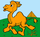 Dibujo Camello pintado por ADRIAN