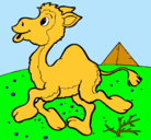 Dibujo Camello pintado por carla