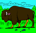 Dibujo Búfalo  pintado por laurasolis