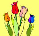 Dibujo Tulipanes pintado por mormy