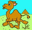 Dibujo Camello pintado por javiera