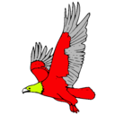 Dibujo Águila volando pintado por jesus