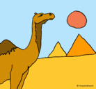 Dibujo Camello pintado por leire