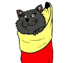 Dibujo Gato dentro de una calcetín pintado por raura