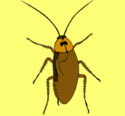 Dibujo Cucaracha grande pintado por sebastian