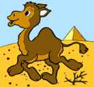 Dibujo Camello pintado por tairi