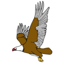 Dibujo Águila volando pintado por andy