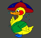 Dibujo Pato bajo la lluvia pintado por MARAL