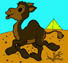 Dibujo Camello pintado por lupita