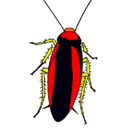 Dibujo Cucaracha pintado por DANI