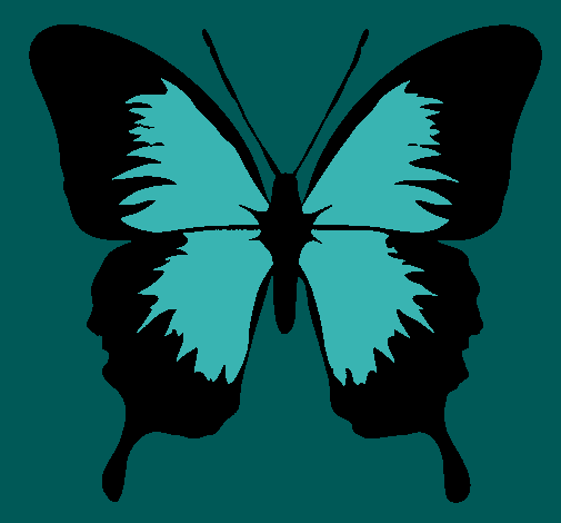 Dibujo Mariposa con alas negras pintado por checcid