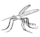 Dibujo Mosquito pintado por eli