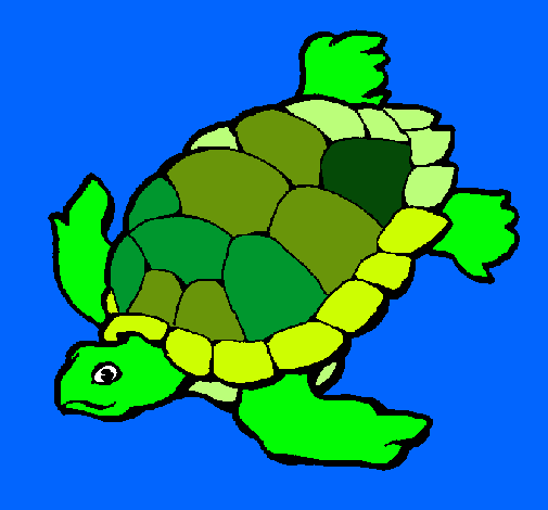 Dibujo Tortuga pintado por carolaiiin