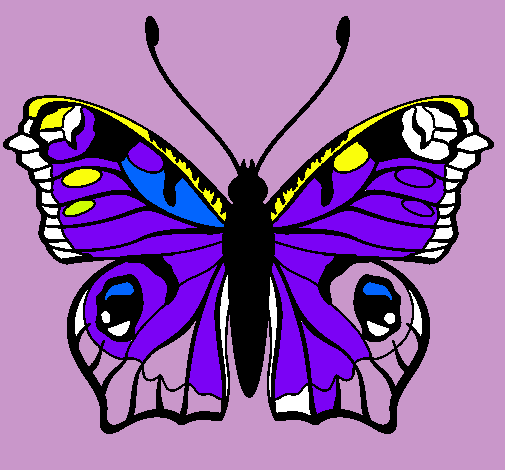 Dibujo Mariposa  pintado por aleysha4