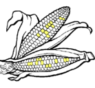 Dibujo Mazorca de maíz pintado por hermosa