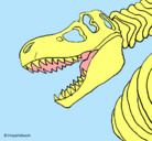 Dibujo Esqueleto tiranosaurio rex pintado por donovan