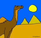 Dibujo Camello pintado por malena