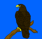 Dibujo Águila en una rama pintado por aguila