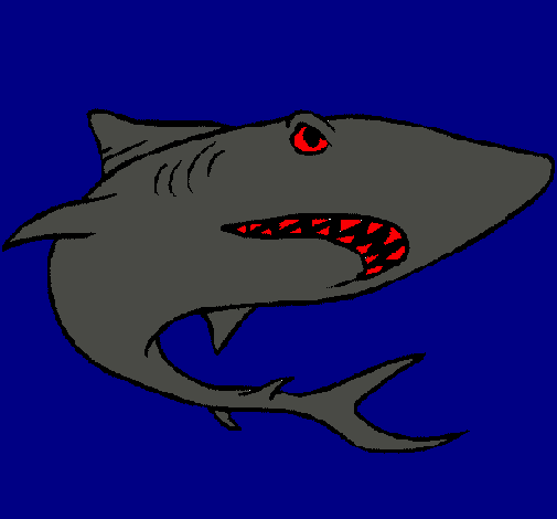 Dibujo Tiburón pintado por carr